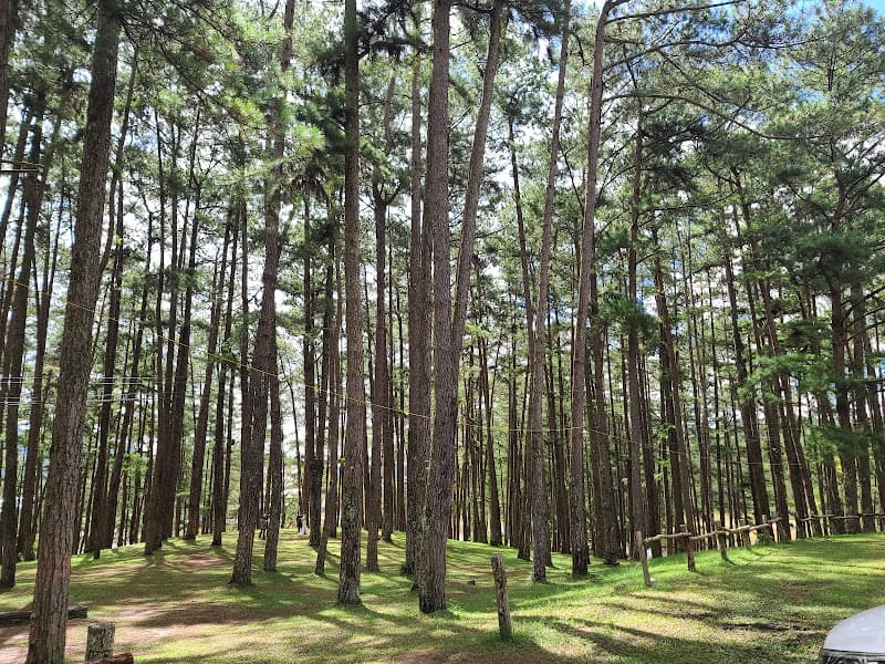 Hình ảnh Thung Lũng Vàng - 4