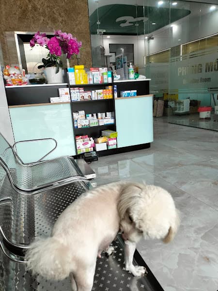 Hình ảnh Bệnh Viện Thú Y Ngọc Hà - 3