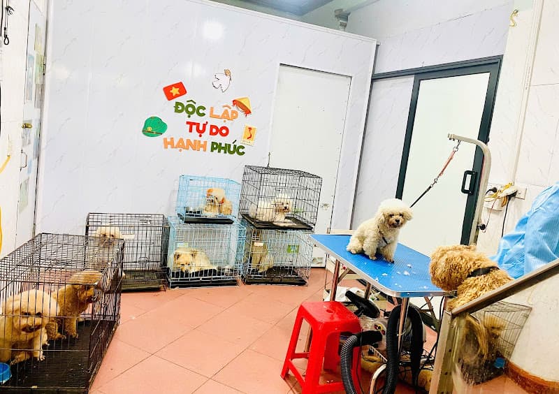 Ảnh bìa Phòng Khám Thú Y Flower Pet