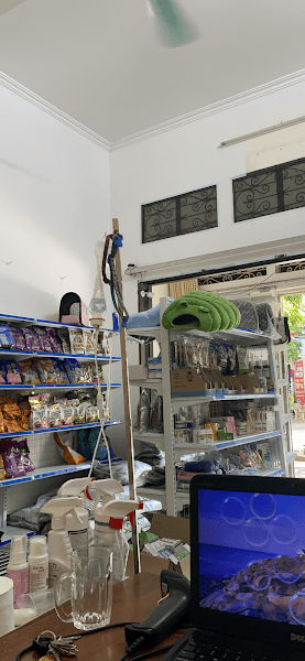 Hình ảnh Phòng khám thú y - Spa MiMi pet shop - 3