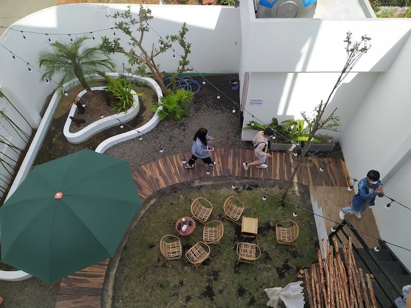 Hình ảnh Coco Nau - 2