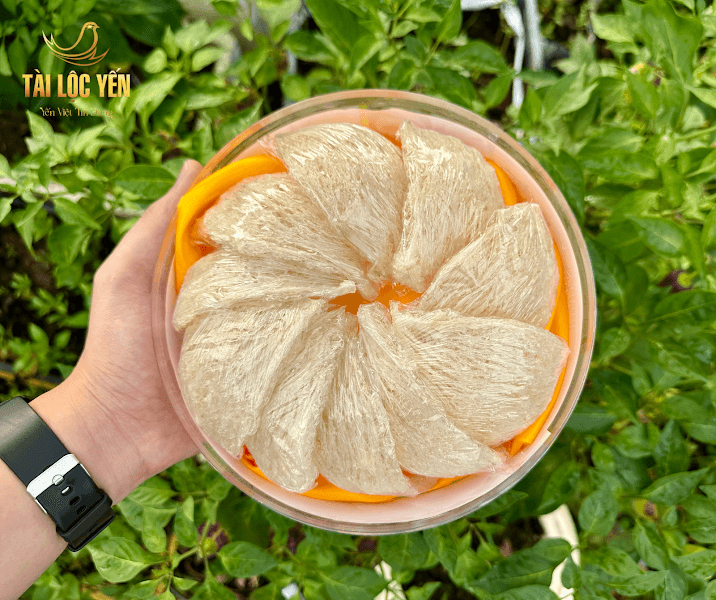 Yến sào Tài Lộc Trà Vinh