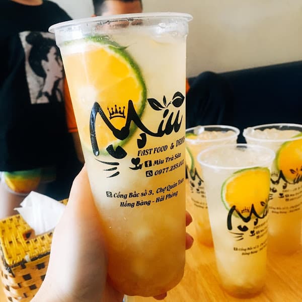 Hình ảnh Miu Trà Sữa - 2