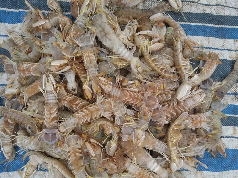 Hình ảnh Karaoke Thanh Thảo - 5