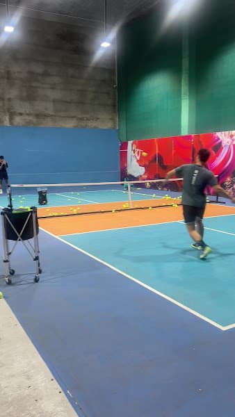 Hình ảnh HAPPY PICKLEBALL - 4