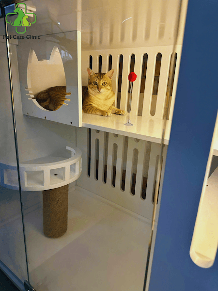 Hình ảnh Phòng Khám Thú Y Pet Care Sa Đéc - 5