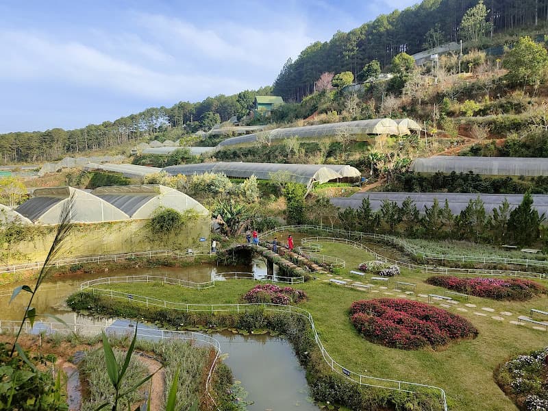 Hình ảnh Pink Valley Đà Lạt - 4