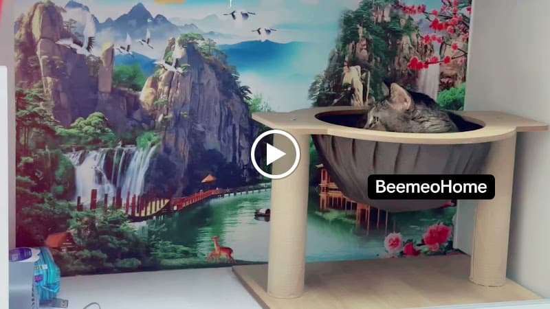 Hình ảnh BeeMeoPetShop - 4