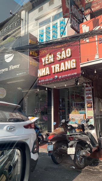 Ảnh bìa Yến sào Hải Phòng - Công ty Zii Yến