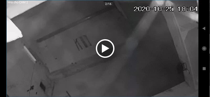 Hình ảnh Yến Sào Hồng Phúc - 8