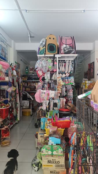 Hình ảnh BeeMeoPetShop - 5