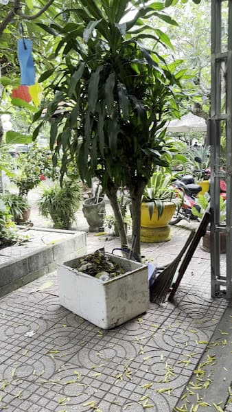 Hình ảnh Coffee Lộc Vừng 6 - 4