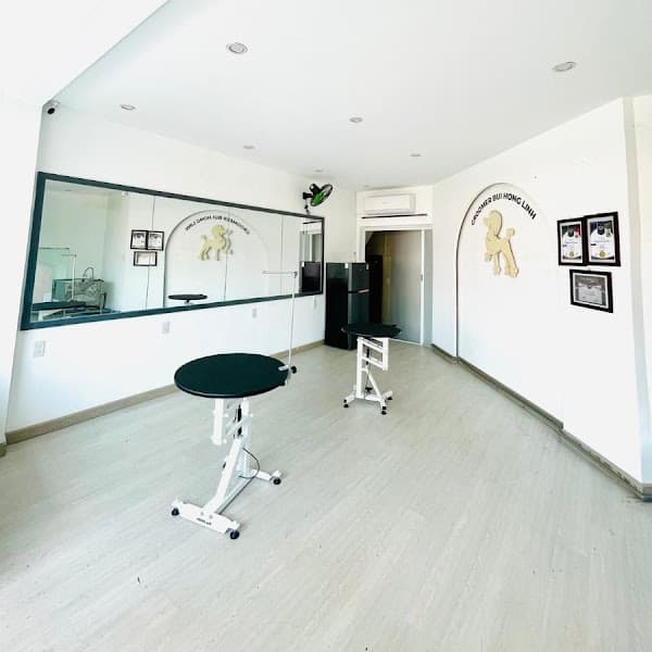 Hình ảnh Phòng Khám Thú Y Thanh Đàm 106 Hùng Vương - 3