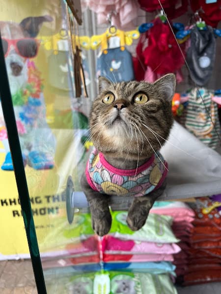 Hình ảnh Petwin Cần Thơ- Siêu Thị Thú Cưng - 4