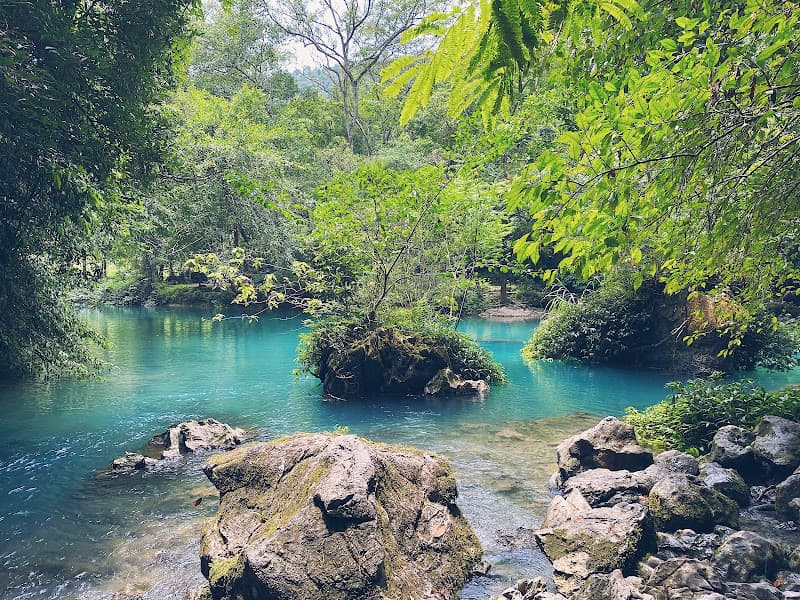 Ảnh bìa suối Lê Nin