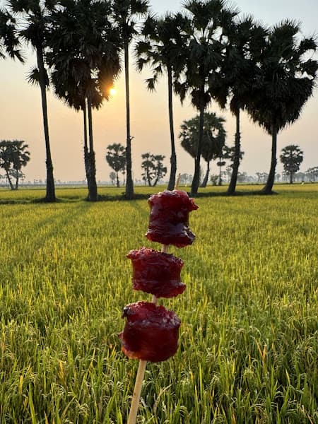 Cánh đồng Thốt Nốt - Vĩnh Trung - An Giang