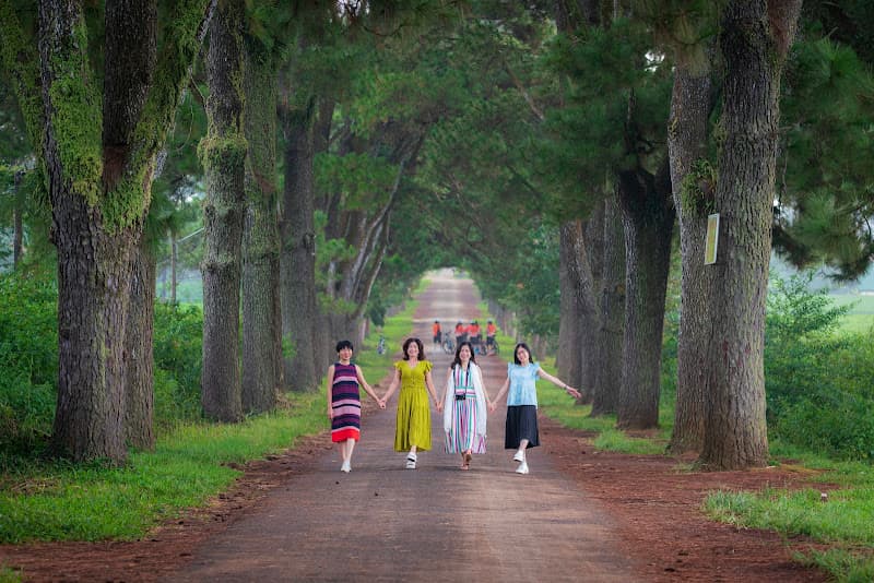 Hình ảnh Biển Hồ chè - 2