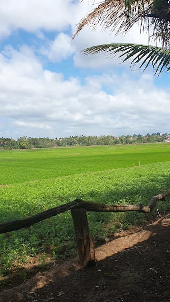 Ảnh bìa Vườn Dừa Quán