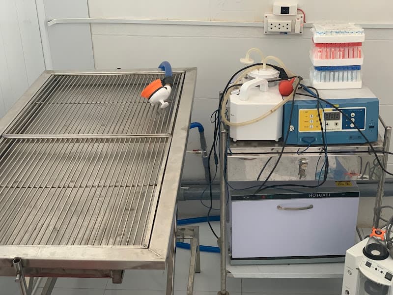 Hình ảnh Phòng Khám Thú Y Hòa Hòa Long Khánh - 7