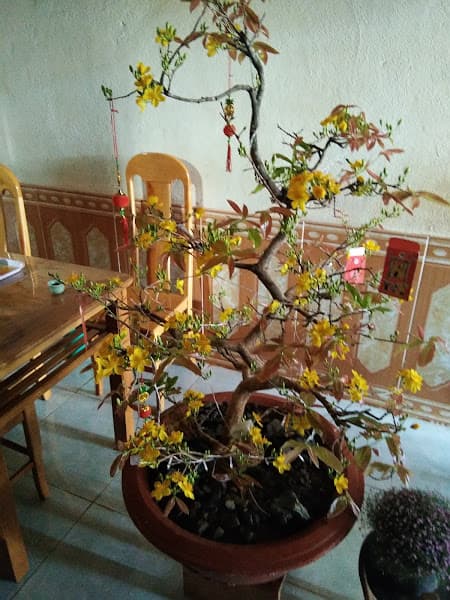 Hình ảnh Karaoke LUXURY - 3