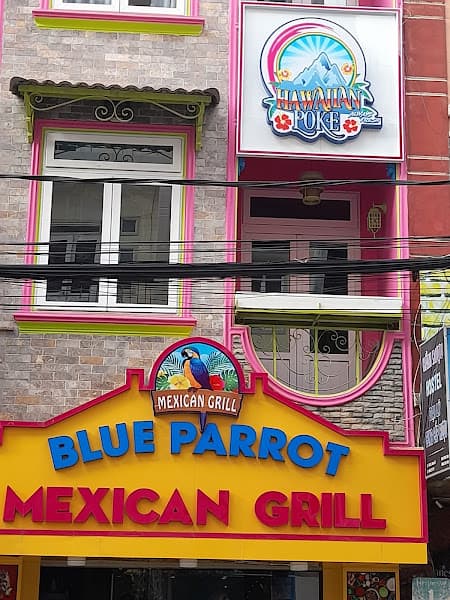 Hình ảnh Blue Parrot Mexican Grill - 3