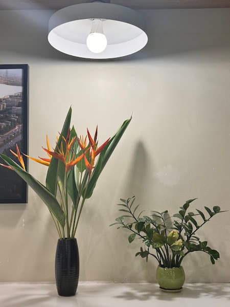 Hình ảnh Bún Phở Hà Kỳ - 3