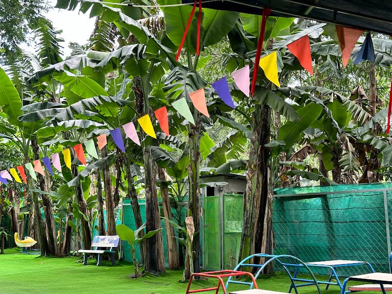 Hình ảnh Cafe võng thanh tuyền - 3