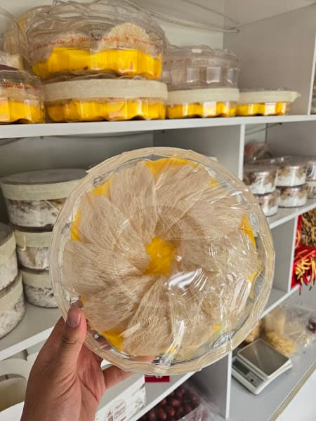 Hình ảnh Yến Sào Thái Nguyên - Yến Sào Ngân Hoàng - 4