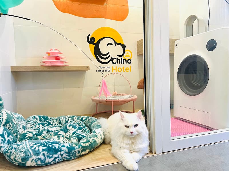 Hình ảnh Chinopet - Your Pet Comes First - 5