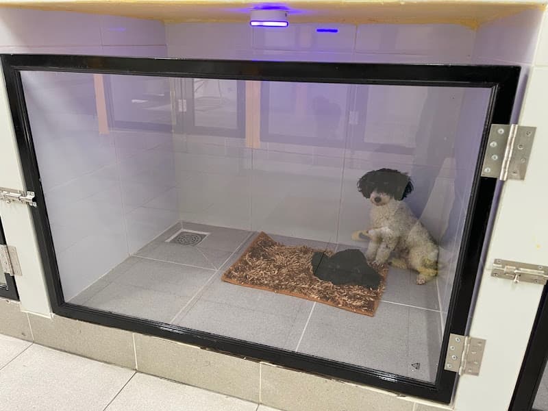 Hình ảnh TruongDung Pet - Phòng Khám Thú Y Cần Thơ | Cấp Cứu Thú Y Xuyên Đêm 24/24 - 5