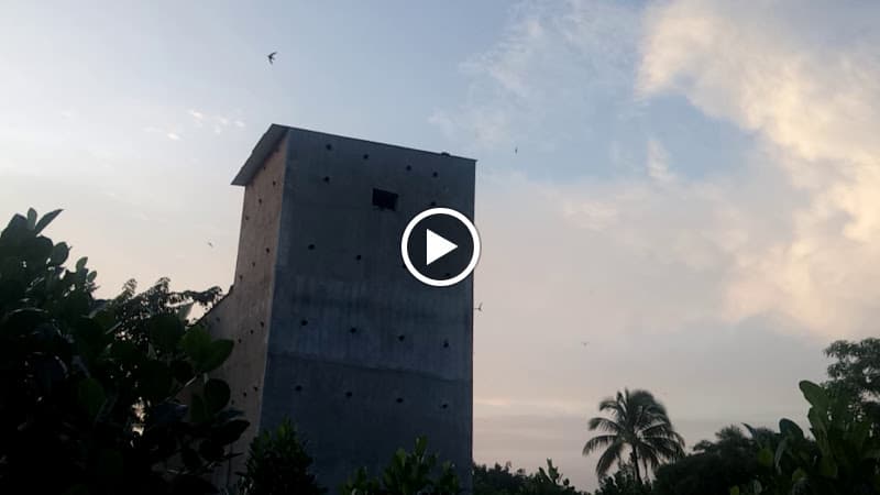 Hình ảnh YẾN SÀO LỘC TRỜI - 3