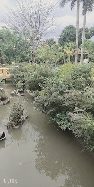 Hình ảnh Trại mèo Cần Thơ - Chescy House - 2