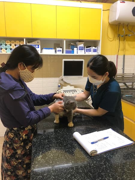 Hình ảnh Phòng khám thú y Vnpet Gang Thép - 4