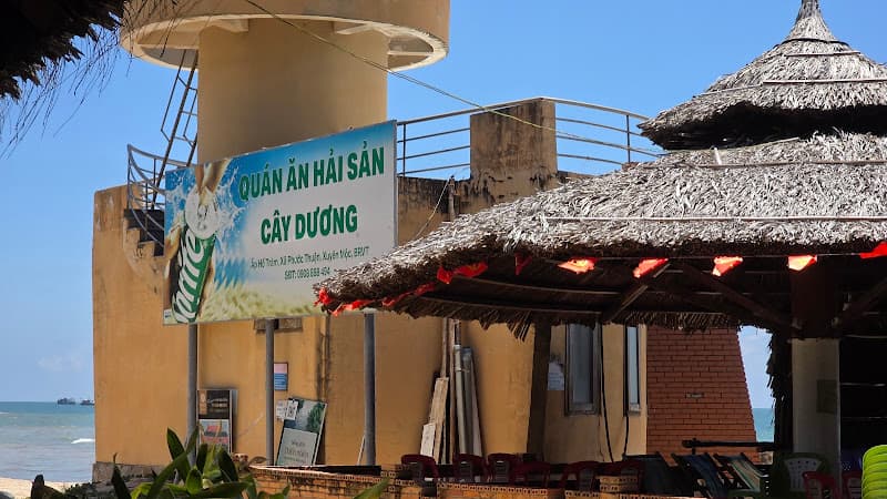 Hình ảnh Bãi Tắm - Nhà Hàng Hải Sản Cây Dương Hồ Tràm - 2