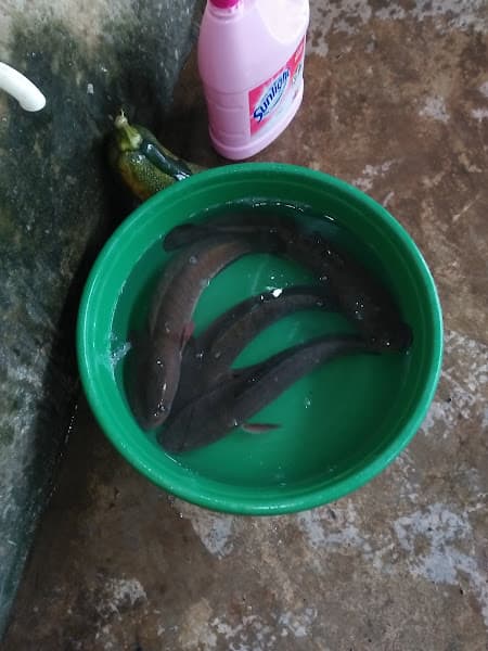 Hình ảnh Khẩn Thu Bar - 4