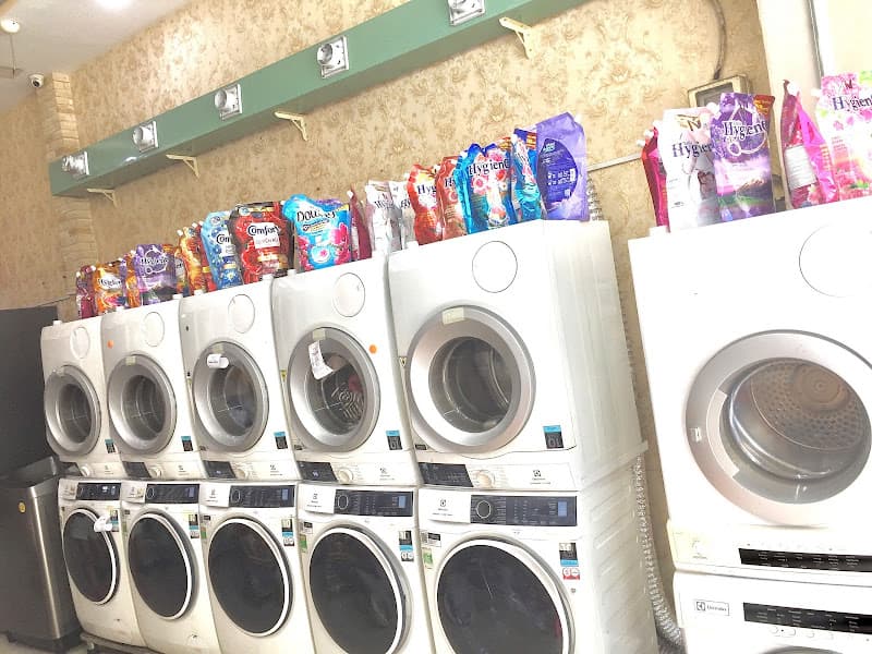 Hình ảnh Giặt Hấp - Giặt Sấy - Sửa đồ STV - Giặt Sấy Tân Bình - 3