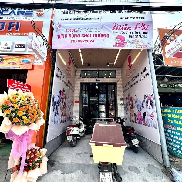 Hình ảnh DogParadise.vn CN Bình Hưng (dịch vụ cắt tỉa lông- lưu giữ thú cưng) - 4