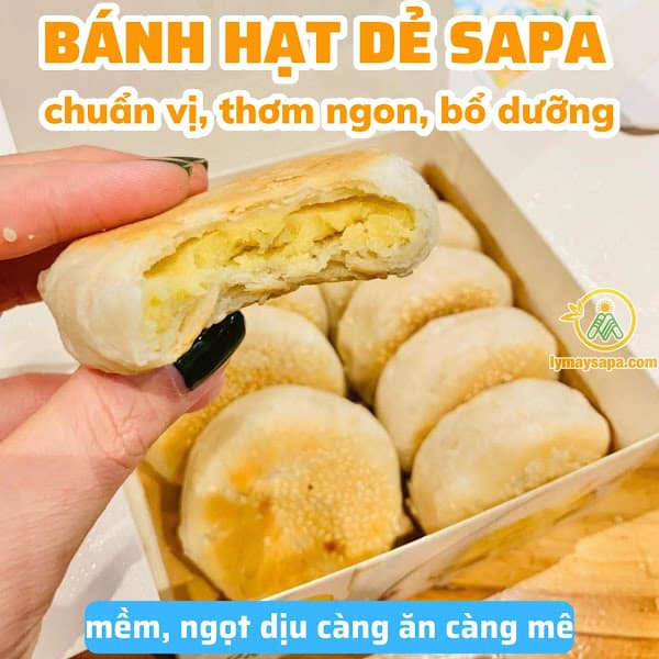 Hình ảnh Hạt Dẻ Sapa - Lý Mẩy - 4