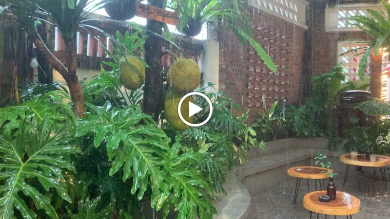 Hình ảnh Mây Tropical Cafe & Camping - 5