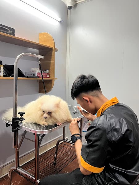 Hình ảnh Beem Pet Shop - 2