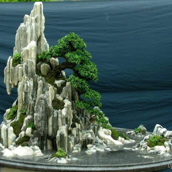 Hình ảnh Hải Sản Đủng Đỉnh - 3
