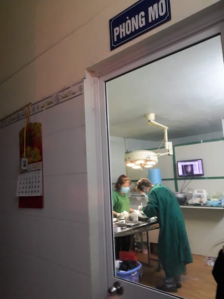 Hình ảnh SAOvet Hải Phòng - 8