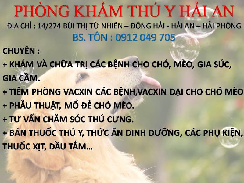 Hình ảnh Phòng khám Thú Y Hải An - 6