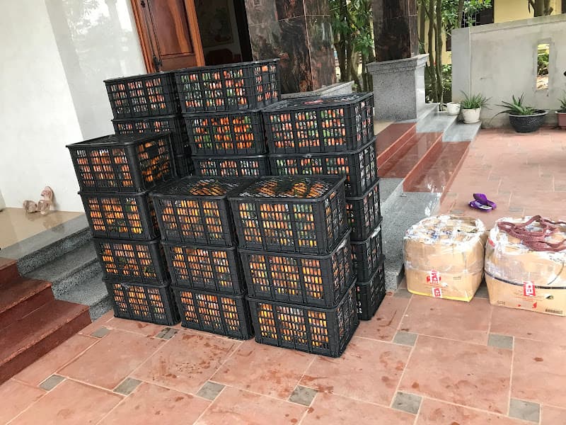 Ảnh bìa Chợ 1/5