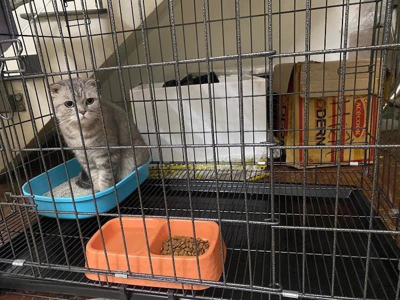 Hình ảnh Phòng Khám Thú Y Dream Pet - Gia Lai - 2