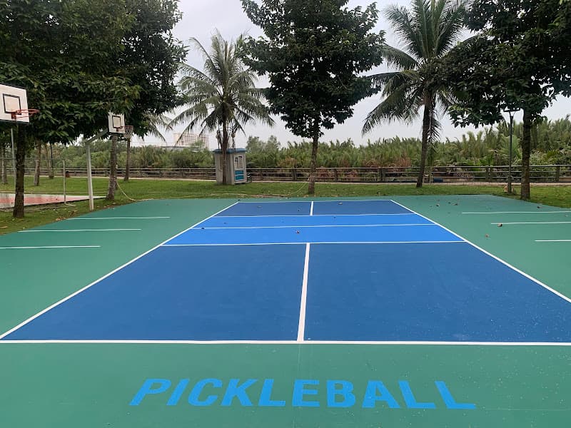 Hình ảnh PICKLEBALL PRS - 3