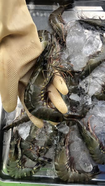 Hình ảnh Vựa Hải Sản Hoàng Linh - 3