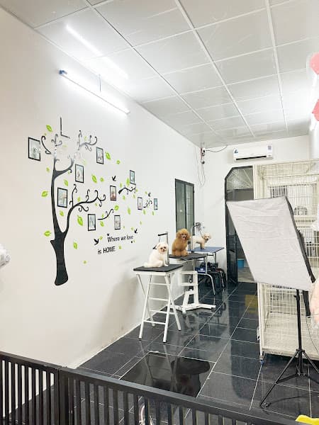 Hình ảnh Yume Pet Grooming - 3