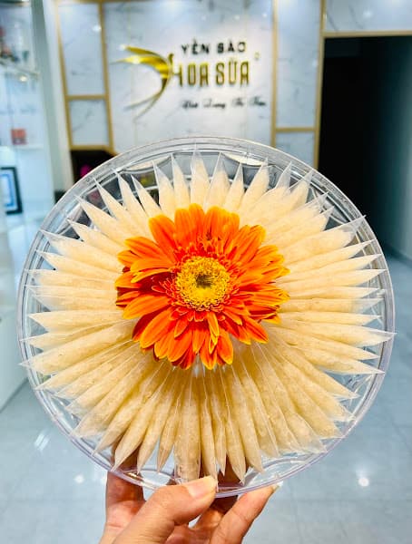 Hình ảnh YẾN SÀO HOA SỮA - 3