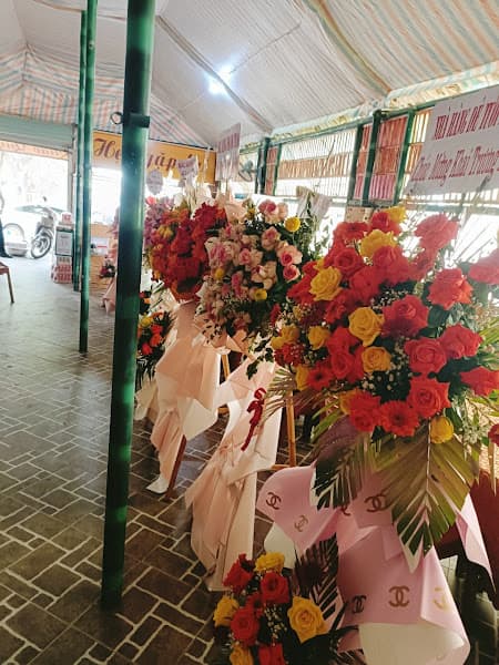 Hình ảnh PHỞ NHẬT - NHẤT PHỞ - 2